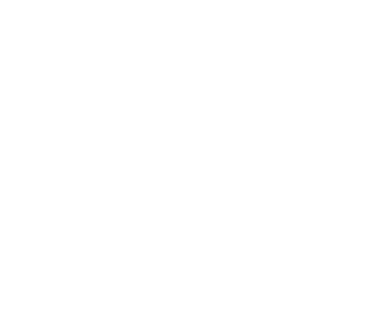 File formats supported by Ocus scanners are .svs, .tiff and .jpg